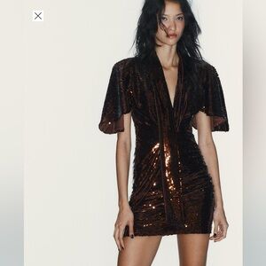 Zara Elegant Sequin Holiday Dress in Brown
